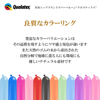 QL350Q 磻ɥ٥꡼ 100