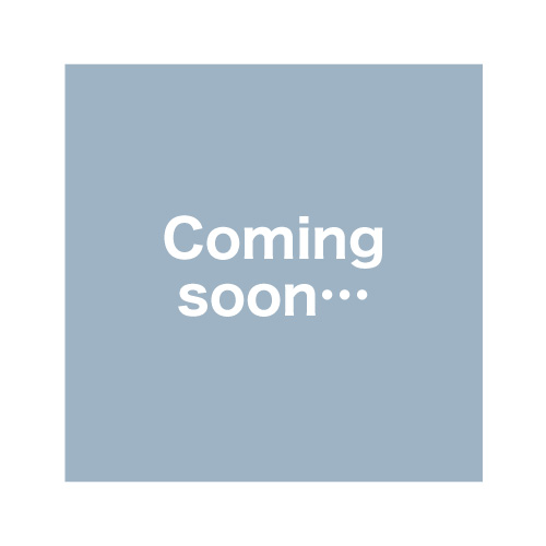 ̾õ��ץꥭ�奢�����ߥ˥ѥ��륻�åȡ�SSBCH32077