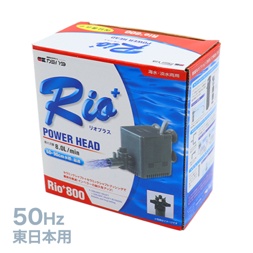 ήݥRio800(50Hz)϶ 1ELSNS94012