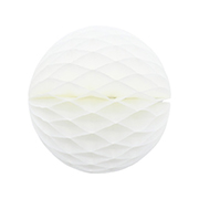 ݥ 20cmϥ˥ܡ ۥ磻ȡʣ2ˡEXPEV09925