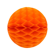 ݥ 20cmϥ˥ܡ 󥸡ʣ2ˡEXPEV09935