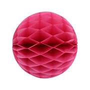 ݥ 20cmϥ˥ܡ ʣ2ˡEXPEV09948