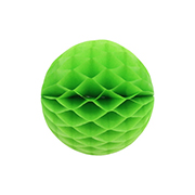 ݥ 15cmϥ˥ܡ 饤॰꡼ʣ2ˡEXPEV09950