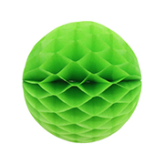 ݥ 20cmϥ˥ܡ 饤॰꡼ʣ2ˡEXPEV09951