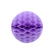 ݥ 15cmϥ˥ܡ ٥ʣ2ˡEXPEV09961