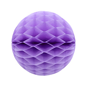 ݥ 20cmϥ˥ܡ ٥ʣ2ˡEXPEV09962