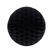 ݥ 20cmϥ˥ܡ ֥åʣ2ˡEXPEV09989