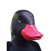 ˥ޥɡM2ҥ֥åOGWEV05386