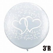 QL3'Rȥ磻ȥϡȥ饦 ꥢPIN314962