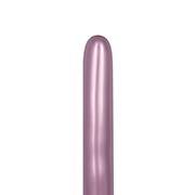 SM260S եå ԥ SEM16999