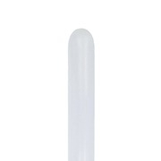 SM260S ꥹ ꥢ SEM80117