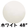 48ɥ㥤ȥХ롼 ۥ磻 1EBT48001